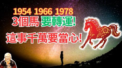 1978屬馬五行|【1978年 生肖】1978年生肖運勢搶先看！45歲屬馬者必讀！